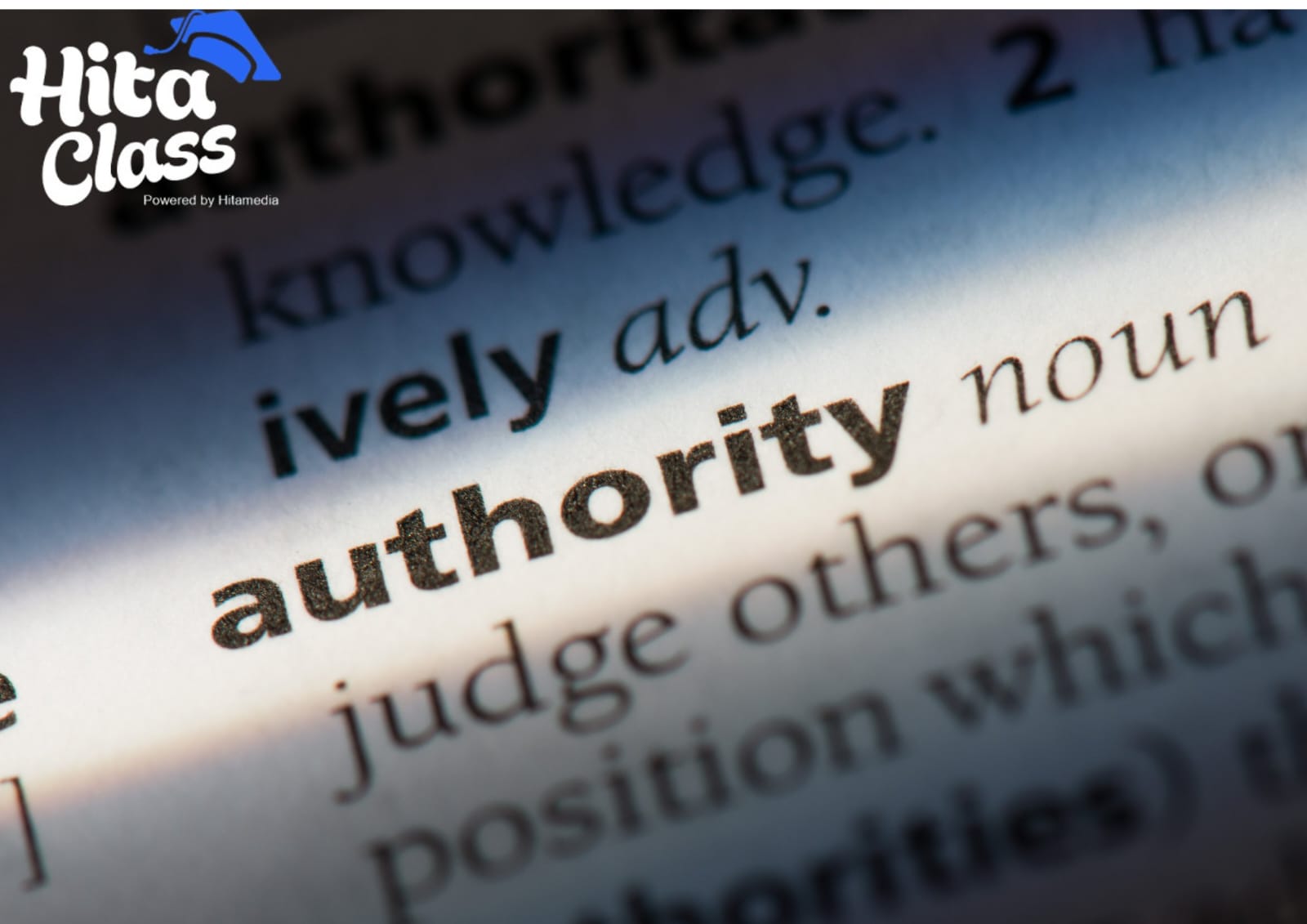 Apa Itu Authority Site?