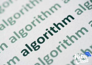 Read more about the article Apa Itu Algoritma Google dan Mengapa Penting untuk SEO