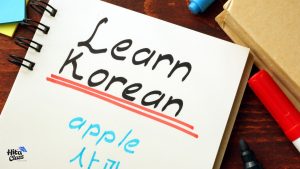 Read more about the article Belajar Bahasa Korea Hitaclass Bersertifikat, Solusi Tepat untuk Pemula hingga Mahir