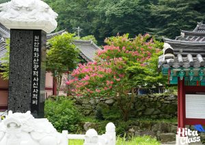 Read more about the article Bimbel Bahasa Korea – Solusi Belajar Mandarin yang Terarah dan Efektif